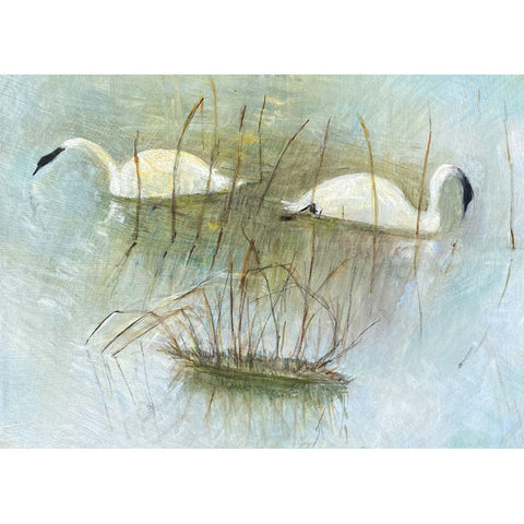 Tessa Newcomb, Swans, Blank Greeting Card