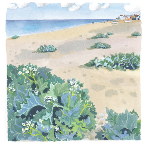 Mary Woodins, Flowering Sea Kale, Fine Art  Greeting Card